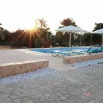 Emma's Ласси